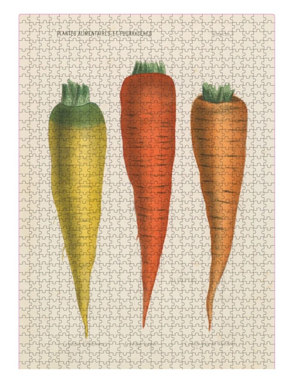 John Derian Three Carrots 1000 piece puzzle with art image - Picture 2 of 14